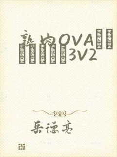 熟肉OVAちゃんはしたい3V2
