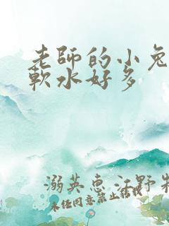 老师的小兔子好软水好多