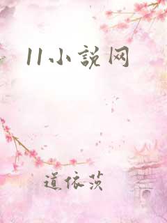11小说网