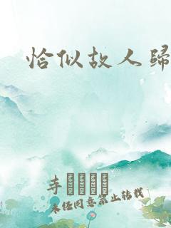 恰似故人归小说