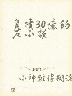 负债30亿的男友小说