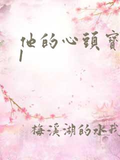他的心头宝1v1