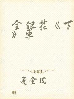 金银花《下厨房》车