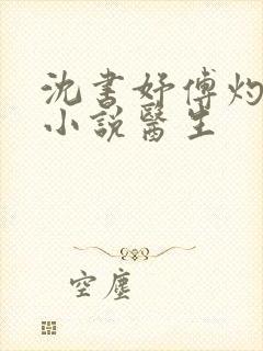 沈书妤傅灼抖音小说医生