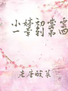 小婷初尝云雨第一章到第四章