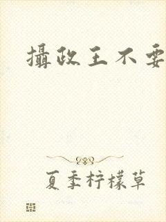 摄政王不要