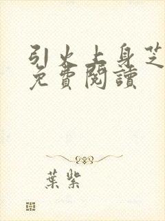 引火上身芝麻糖免费阅读