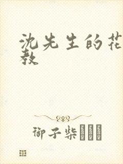 沈先生的花式调教