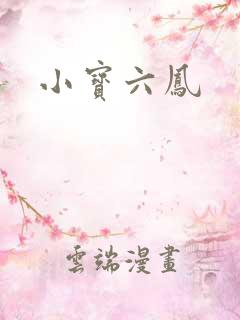 小宝六凤