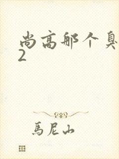 尚高那个臭小子2