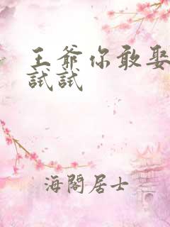 王爷你敢娶小三试试