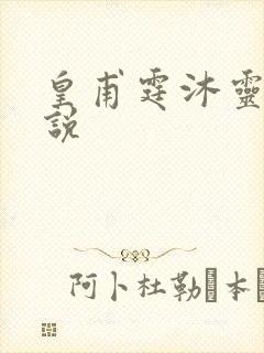 皇甫霆沐灵芸小说