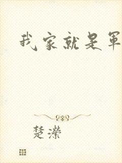 我家就是军火铺