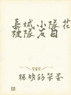 长城小队花木兰被队友日