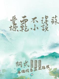 爱而不得苏路顾塬乾小说