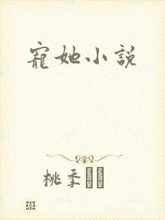 宠她小说