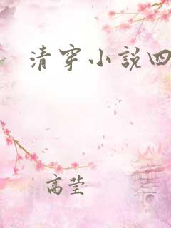 清穿小说四四