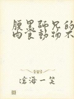 腹黑师兄的日常肉食动物不食草