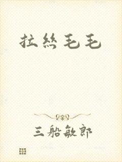 拉丝毛毛