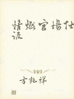 情燃官场仕途风流