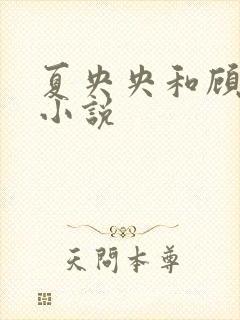 夏央央和顾祁琛小说