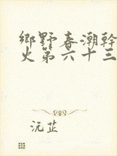 乡野春潮干柴烈火第六十三章