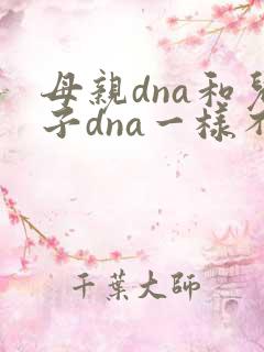 母亲dna和儿子dna一样不