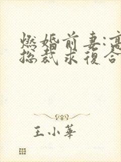 燃婚前妻:高冷总裁求复合