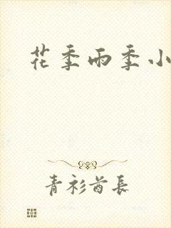 花季雨季小说