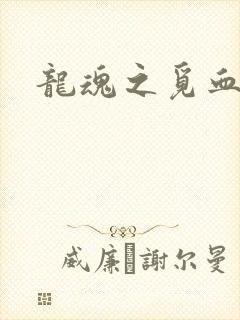 龙魂之觅血心缘
