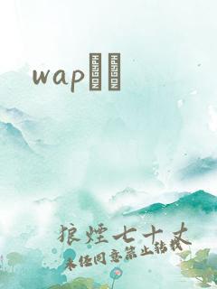 wapС˵