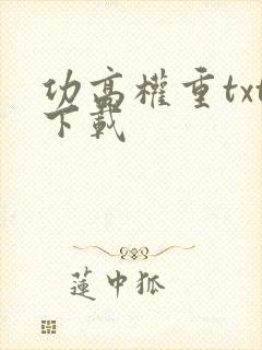 功高权重txt下载