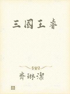 三国王睿