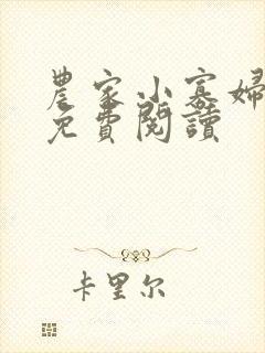 农家小寡妇全文免费阅读