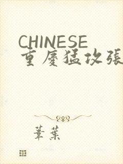 CHINESE重庆猛攻张先生