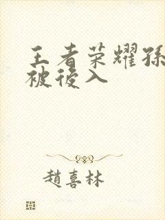 王者荣耀孙尚香被后入