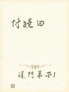 付晓田