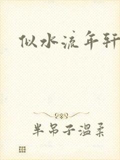 似水流年轩辕悬