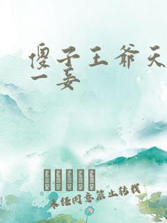 傻子王爷天下第一妾