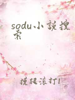 sodu小说搜索