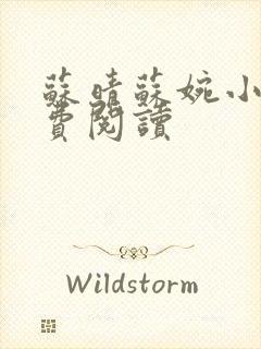 苏晴苏婉小说免费阅读