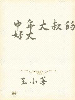 中年大叔的包包好大