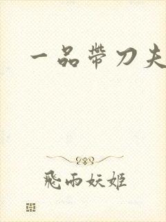 一品带刀夫人