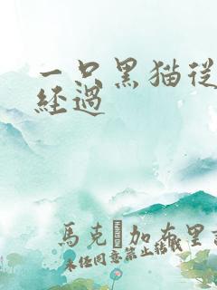 一只黑猫从眼前经过