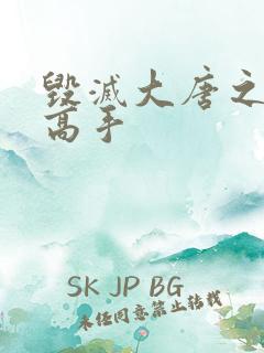 毁灭大唐之异能高手