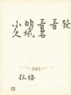 小明看看发布永久域名