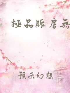 极品账房无弹窗