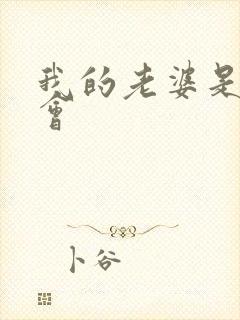 我的老婆是黑社会