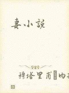 妻小说