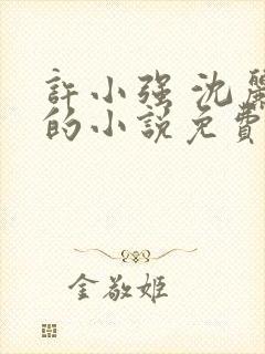 许小强 沈丽娟的小说免费阅读